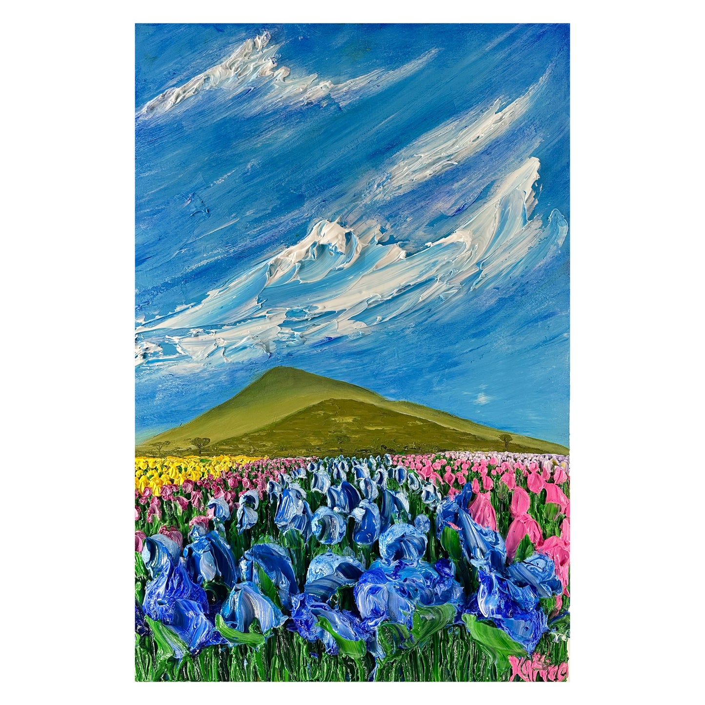 Tulips Field