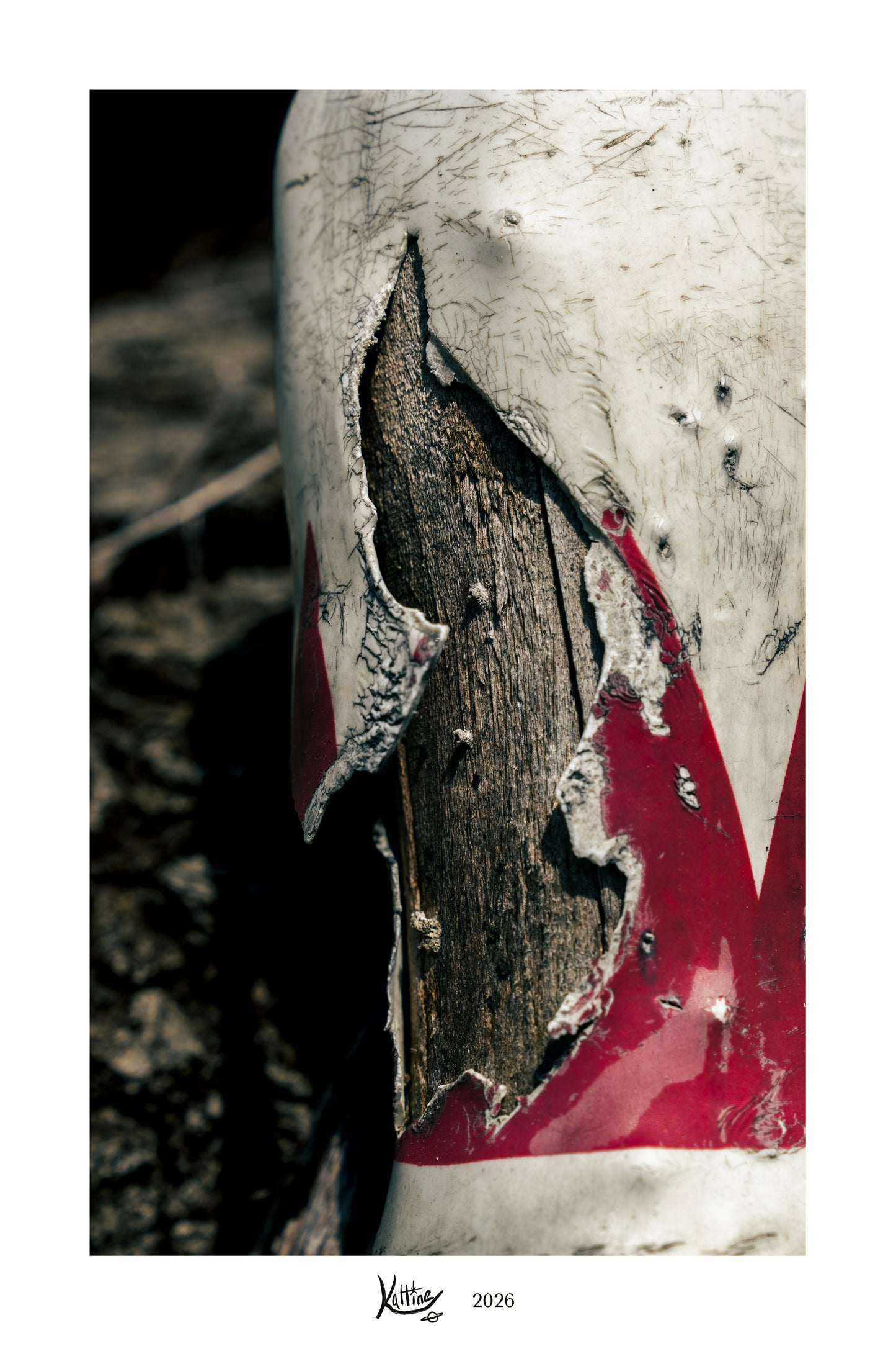 Archival mini photo print