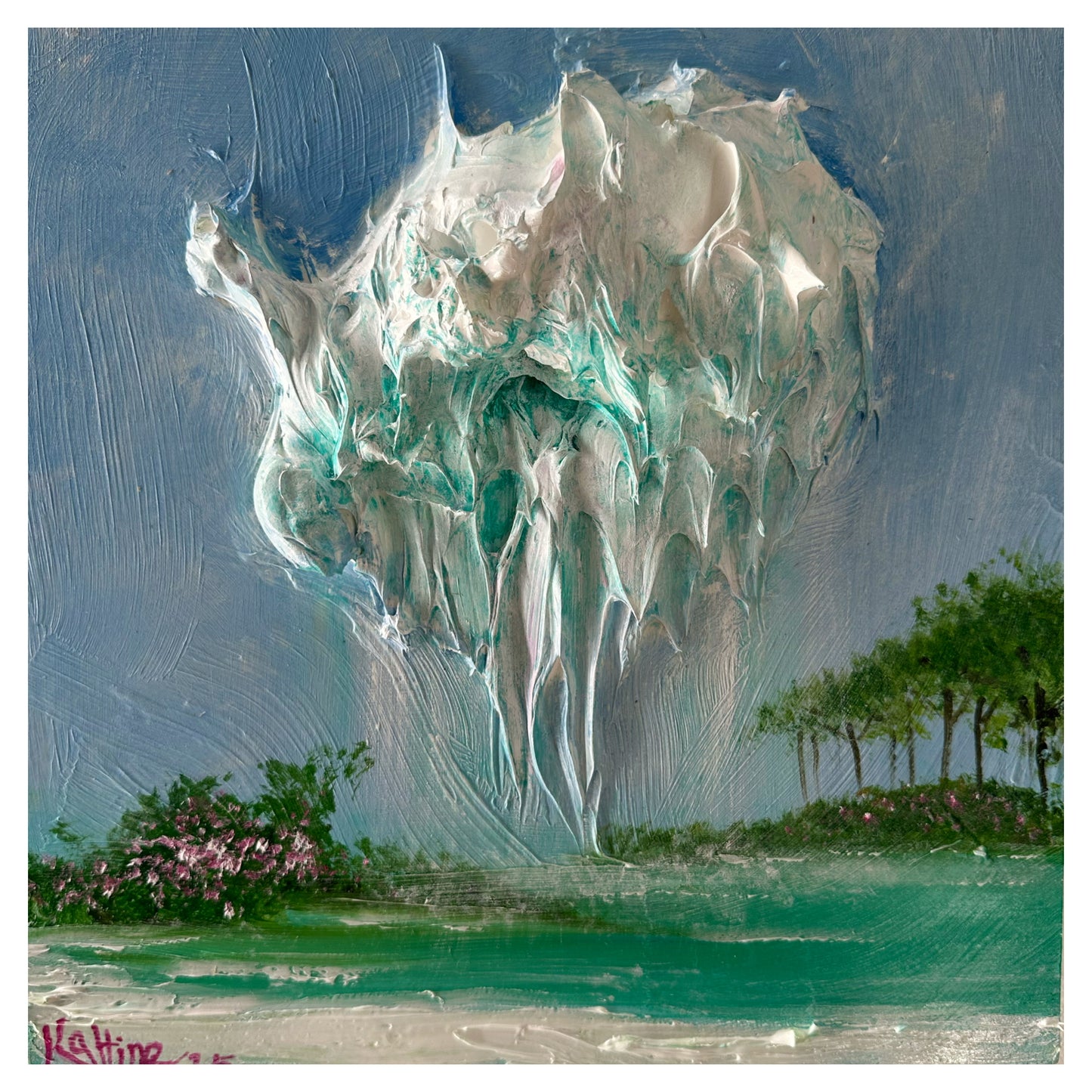 Florida storm small # 4