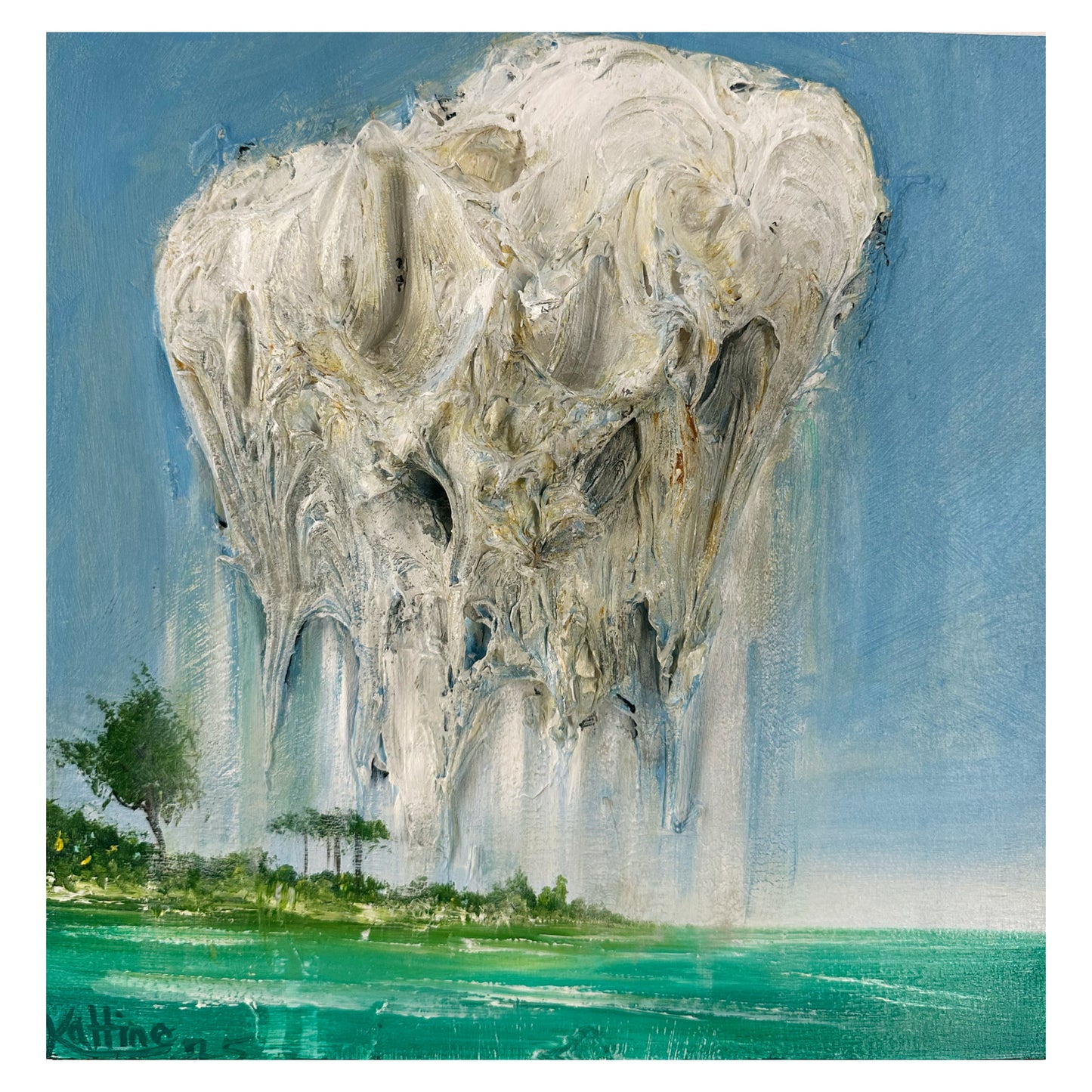 Florida storm small #1