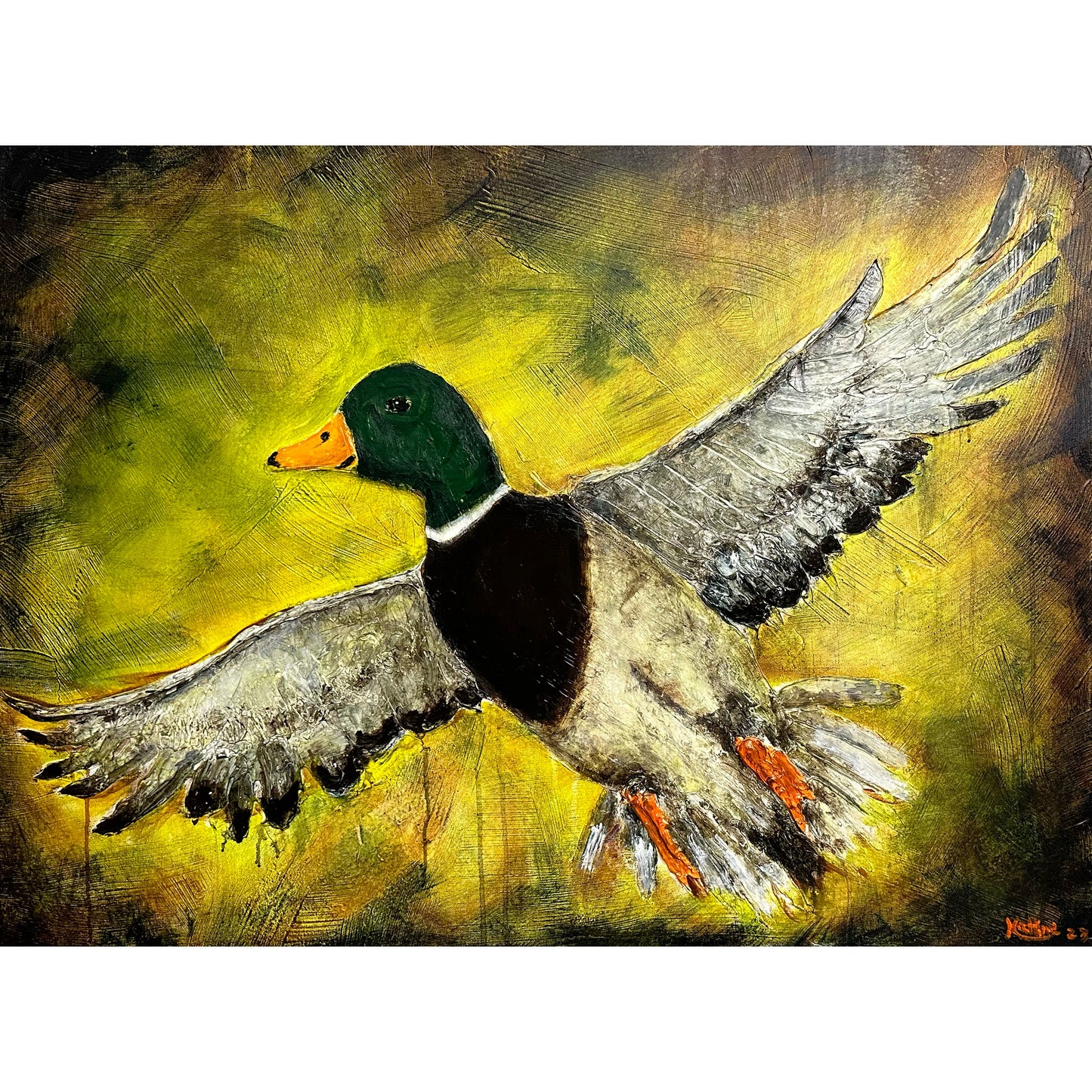Tides & Territories: I see a duck you see a Mallard