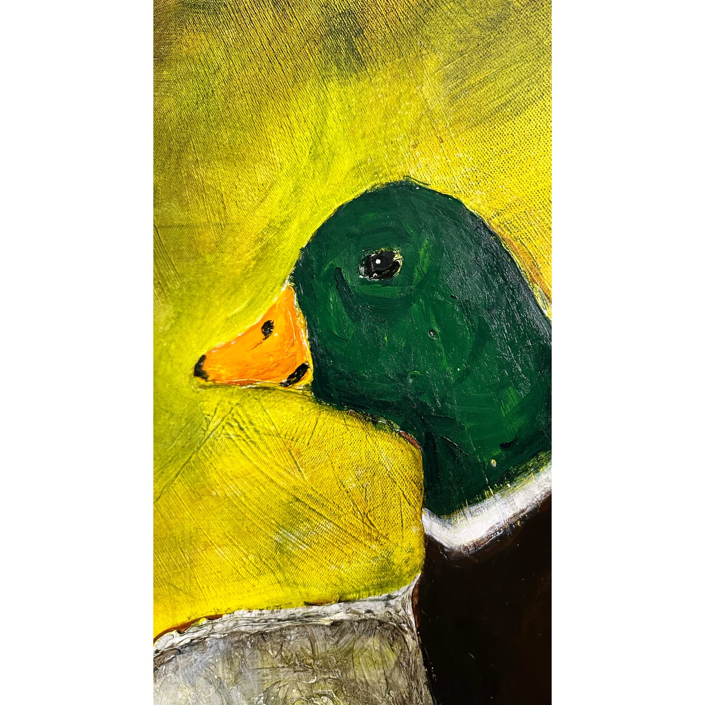 Tides & Territories: I see a duck you see a Mallard