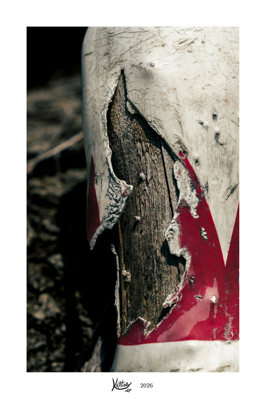 Archival mini photo print