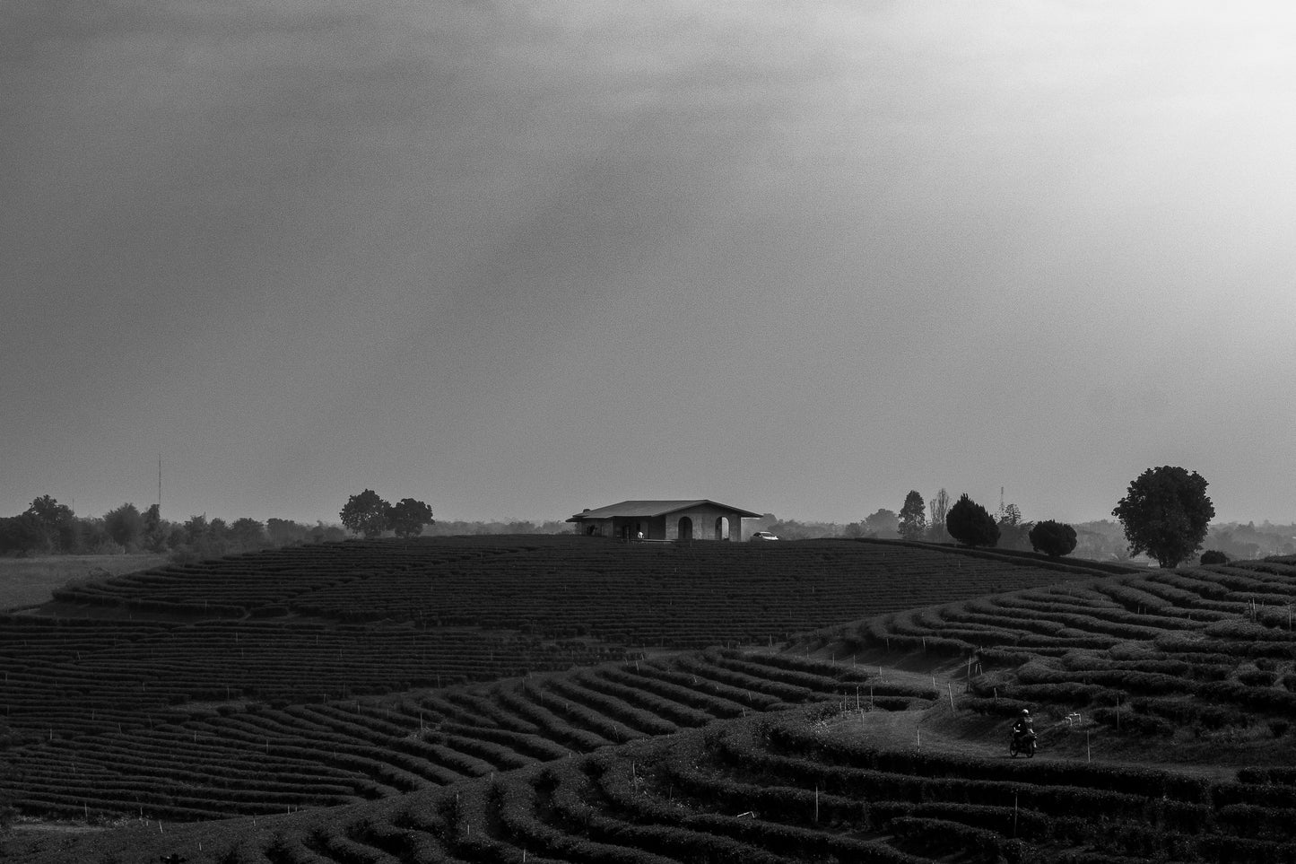 Carved hills ( limited archival photo print )