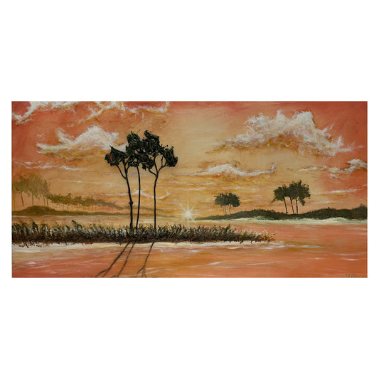 Florida sunrise