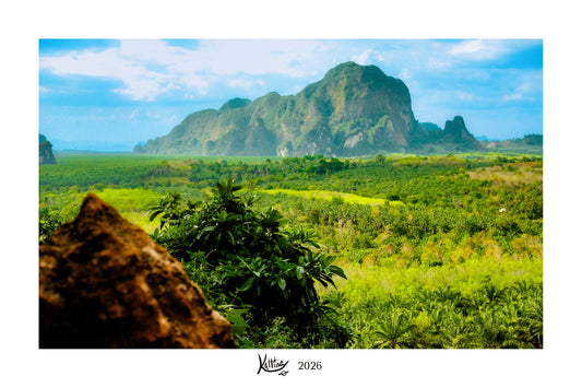 Archival mini photo print