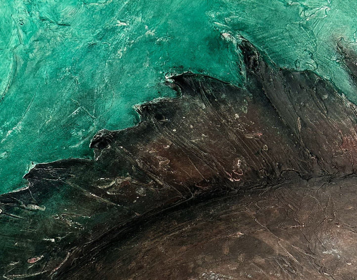Tides & Territories: Black Grouper