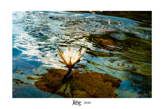 Archival mini photo print